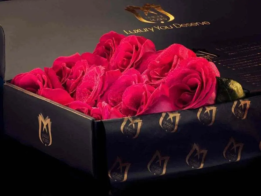 dark pink roses