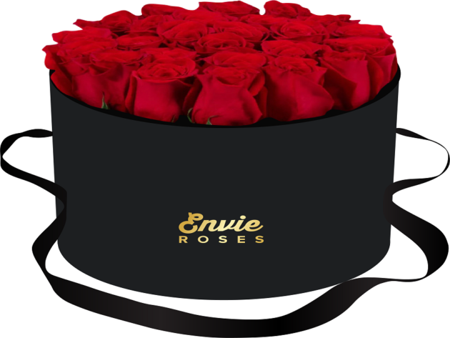Hat Boxes Lady Hester