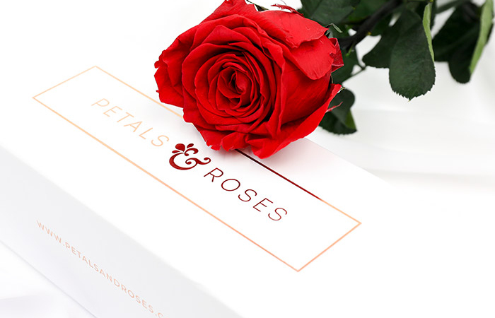 The Singular Rose