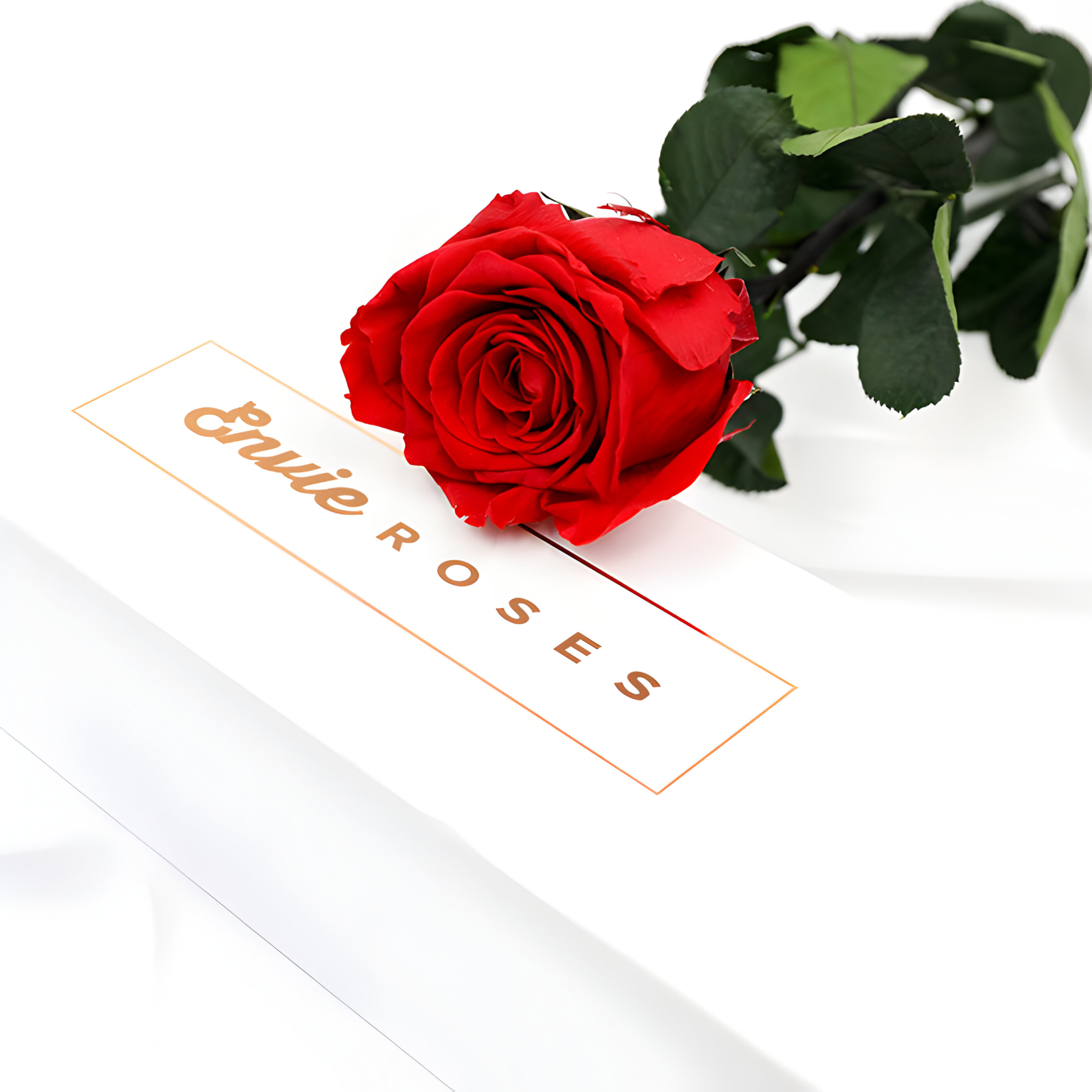Luxurious Single Fresh Rose